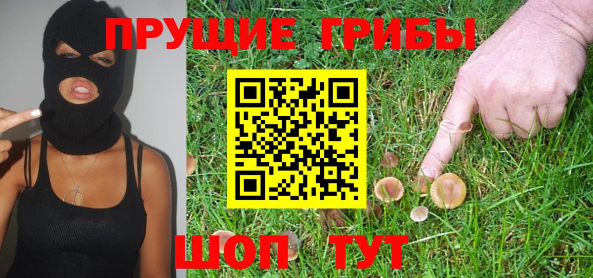 Галлюциногенные грибы MAGIC MUSHROOMS Лосино-Петровский